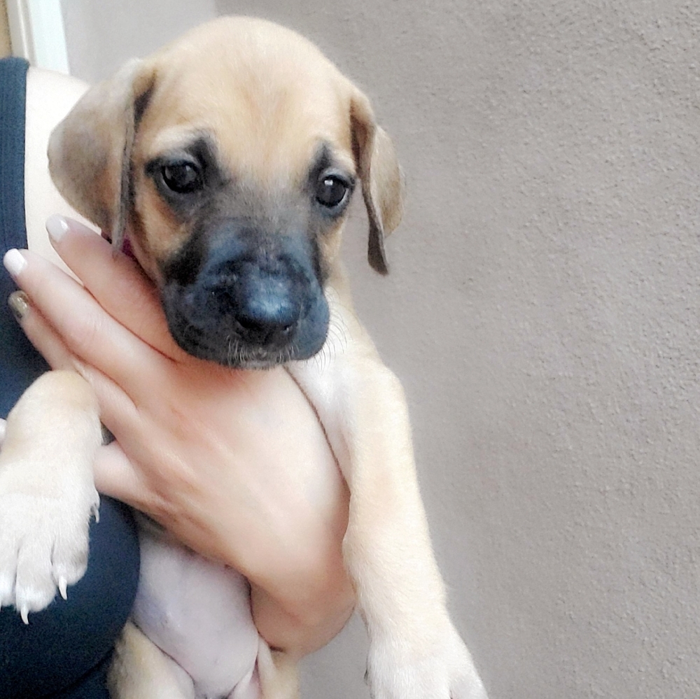 Newest member to family